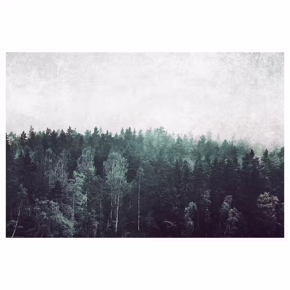 BILD Постер - Кроны деревьев 91x61 см фото товара