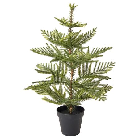 Искусственное растение в горшке ФЕЙКА, д/дома/улицы Араукария (12 см)