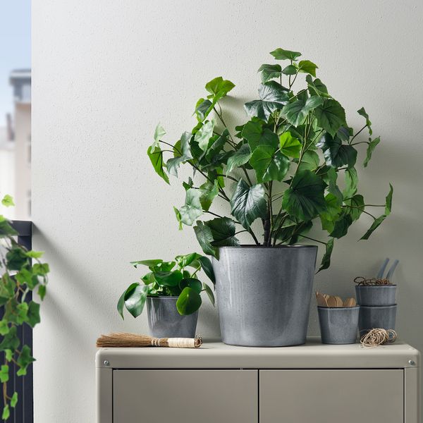 Кашпо, для дома, улицы, серый, 12 см IKEA FJÄRILSBUSKE 705.866.82 - фото 4