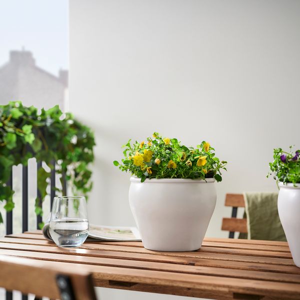 Растение в горшке IKEA VIOLA CORNUTA 205.923.84 - фото 2