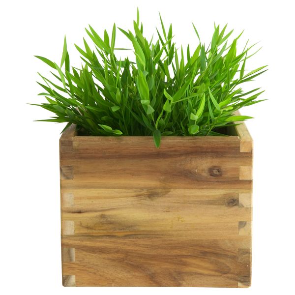 Искусственное растение в горшке ФЕЙКА, Комнатный бамбук (10 см) - фото 4