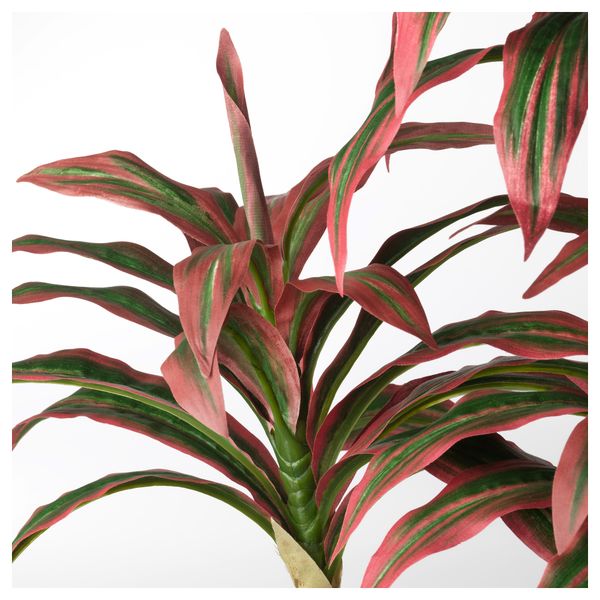 Искусственное растение в горшке ФЕЙКА, Драцена (15 см) - фото 2