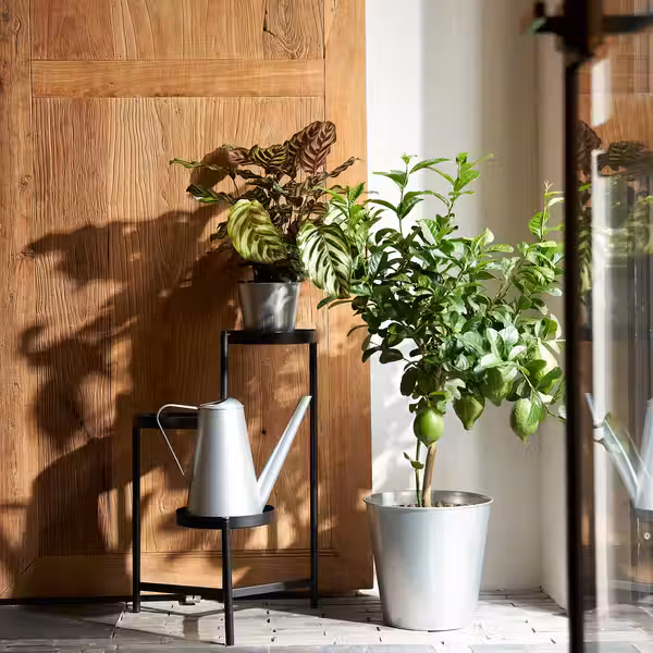 ÅKERBÄR Кашпо - д/дома/улицы/оцинковка 12 см - фото 4