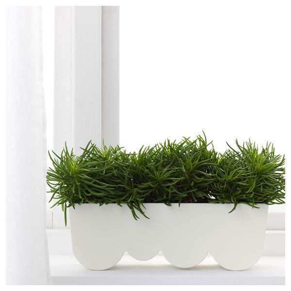 Кашпо ЭГГПЛАНТА, белый (35x11 см) - фото 2