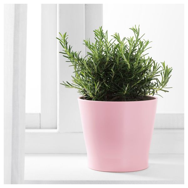 Кашпо ПАПАЙА, светло-розовый - фото 2