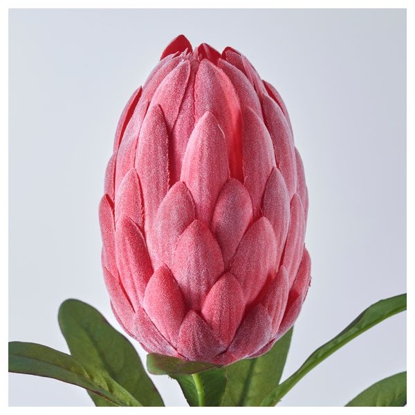 Цветок искусственный СМИККА, протея розовый (63 см) - фото 3