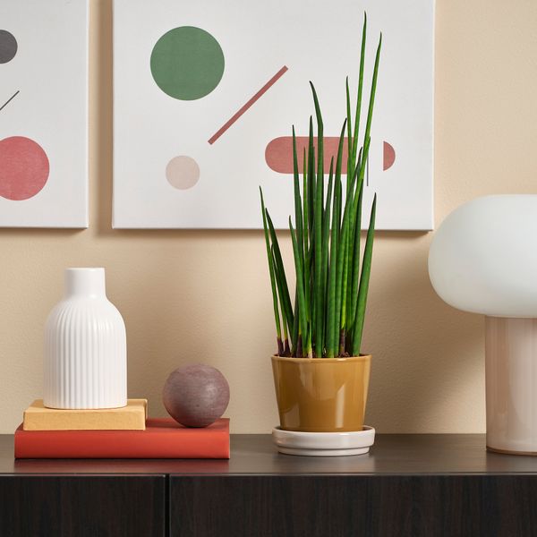 Горшок цветочный с поддоном IKEA KLOTLÖNN 505.982.71 - схема-чертеж с размерами