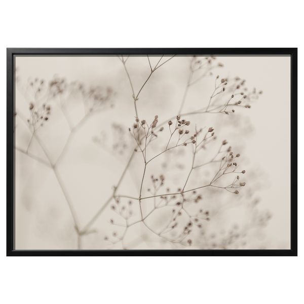 Картина с рамой, Цветы крупным планом, черный, 140x100 см IKEA BJÖRKSTA БЬЁРКСТА 895.611.63 - фото 1