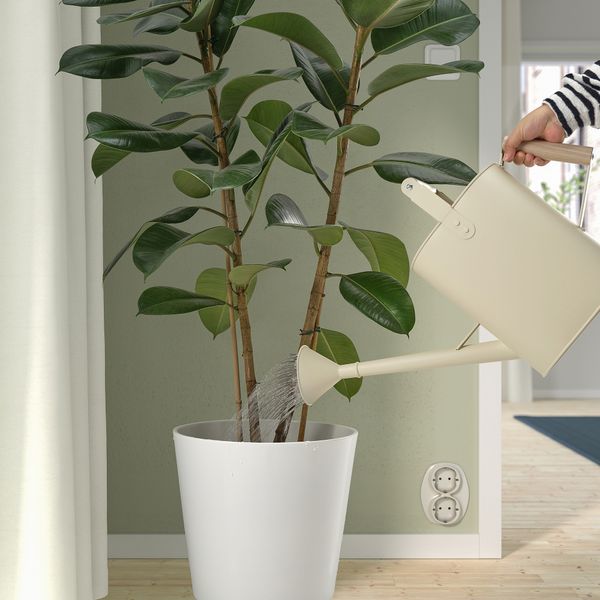 Лейка, для дома, улицы бежевый, 9 л IKEA SALLADSKÅL СЭЛЛАДСКОЛЬ 505.855.70 - фото 3