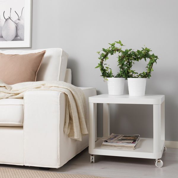 Растение в горшке, Плющ различные растения, 13 см IKEA ХЕДЕРА ХЕЛИКС 403.755.77 - фото 2