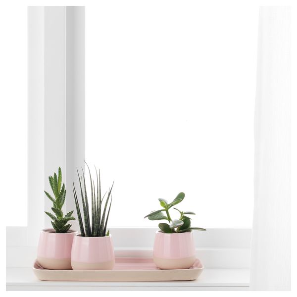 Поддон КЁШБЭР, розовый (30x15 см) - фото 3