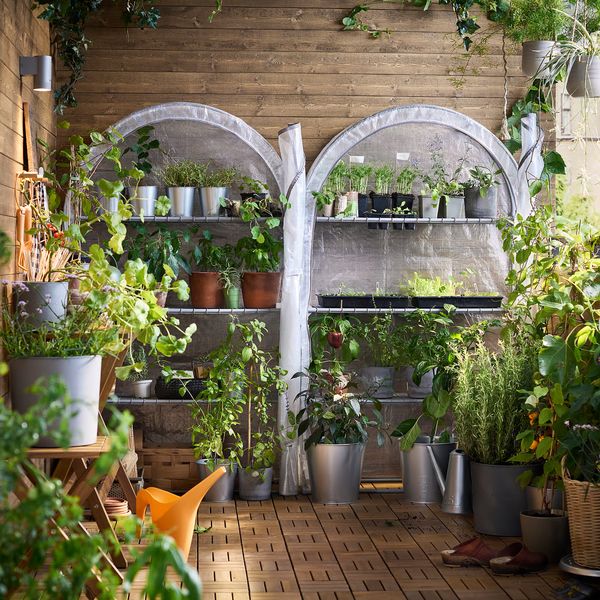 ASPAREN Теплица - прозрачный белый 95x32x162 см - фото 4