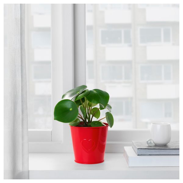Кашпо ВИНТЕР 2018, красный (12 см) - фото 2