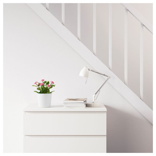 Искусственное растение в горшке ФЕЙКА, Маргаритка многолетняя разные цвета (12 см) - фото 2