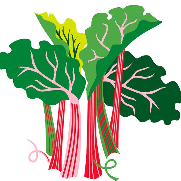 Ароматическая свеча в стакане, ревень бузина/с рисунком черный-белый 7.5 см IKEA MEDKÄMPE МЕДКЭМПЕ 104.967.69 - схема-чертеж с размерами