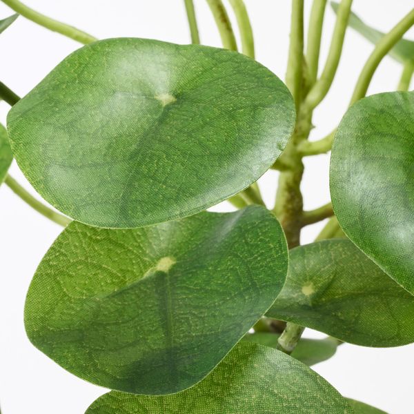 Искусственное растение в горшке, для дома, улицы Пилея 12 см IKEA FEJKA ФЕЙКА 503.953.01 - схема-чертеж с размерами