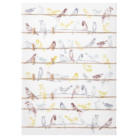 Картина ПЬЕТТЕРИД, птицы (50x70 см)