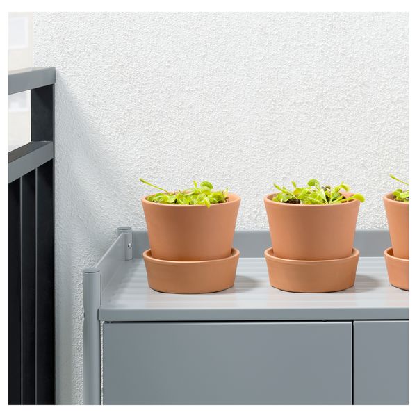 Растение в горшке, насекомоядное различные растения, 12 см IKEA GRÖNSKAN ГРЁНСКАН 302.453.79 - фото 4