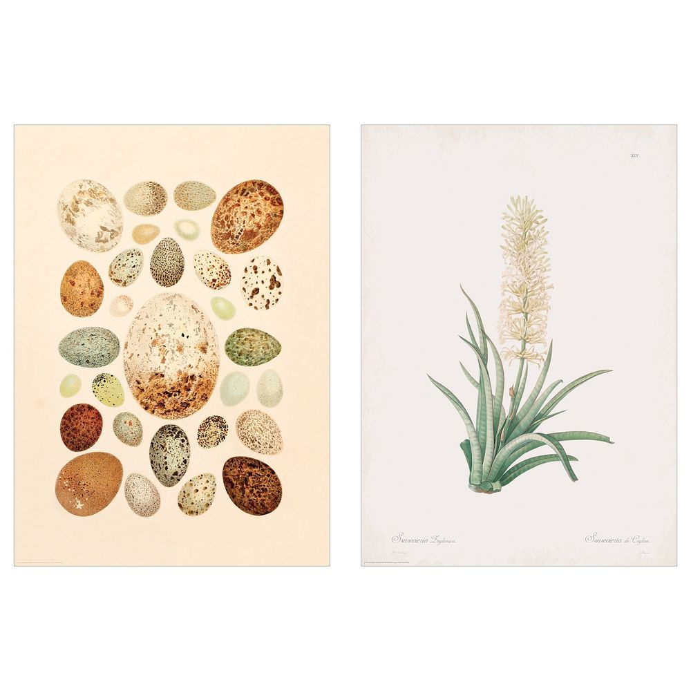 Постер, Легко и просто, 50x70 см IKEA БИЛЬД 604.657.32 - схема-чертеж с размерами