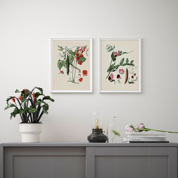 Постер, Растения 30x40 см IKEA BILD БИЛЬД 104.860.96 - схема-чертеж с размерами