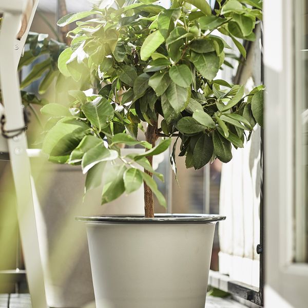 Кашпо, для дома, улицы синий/серый 24 см IKEA FNITTRIG ФНИТТРИГ 204.795.14 - фото 3