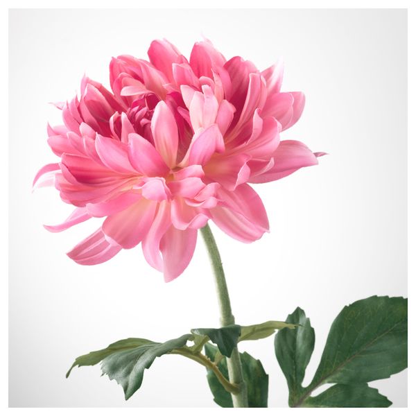 Цветок искусственный СМИККА, Георгин, светло-розовый (75 см) - фото 3