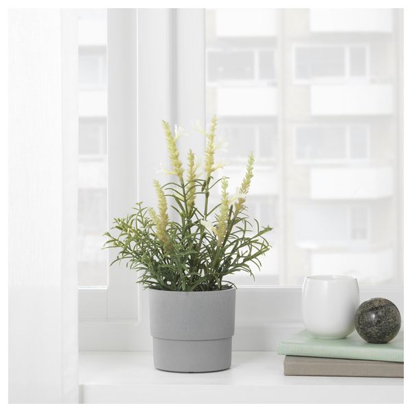 Искусственное растение в горшке ФЕЙКА, лаванда белый (9 см) - фото 2