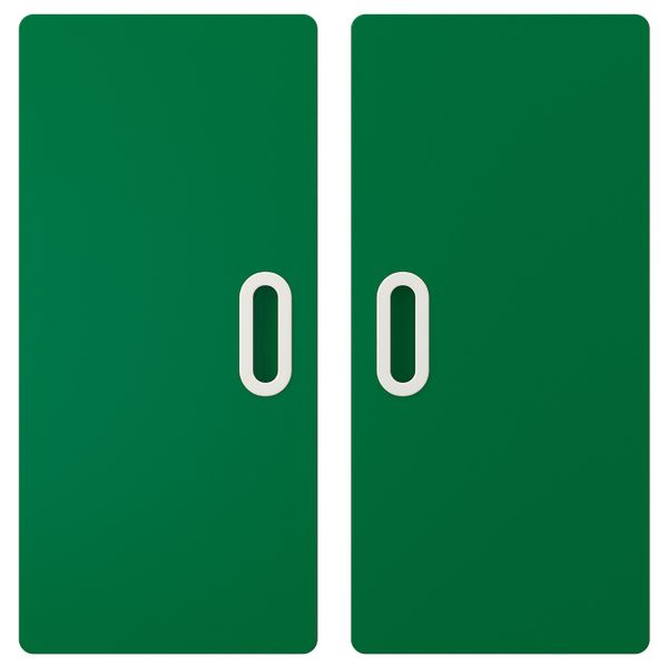 Дверь, зеленый 60x64 см 2 шт IKEA FRITIDS ФРИТИДС 003.867.90 - фото 1