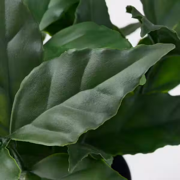 FEJKA Искусственное растение в горшке - схема-чертеж с размерами