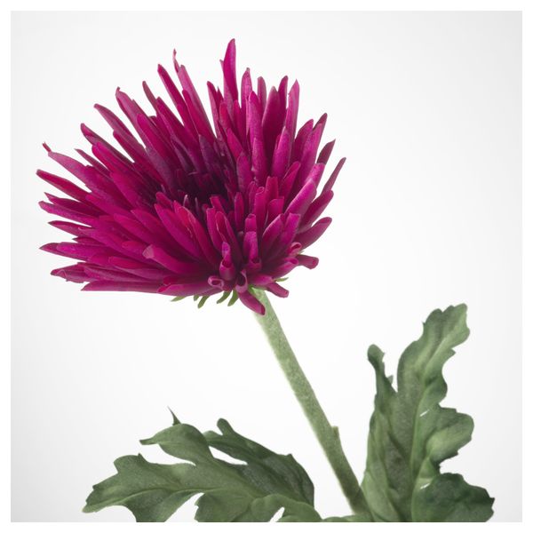 Цветок искусственный СМИККА, Хризантема, сиреневый (55 см) - схема-чертеж с размерами