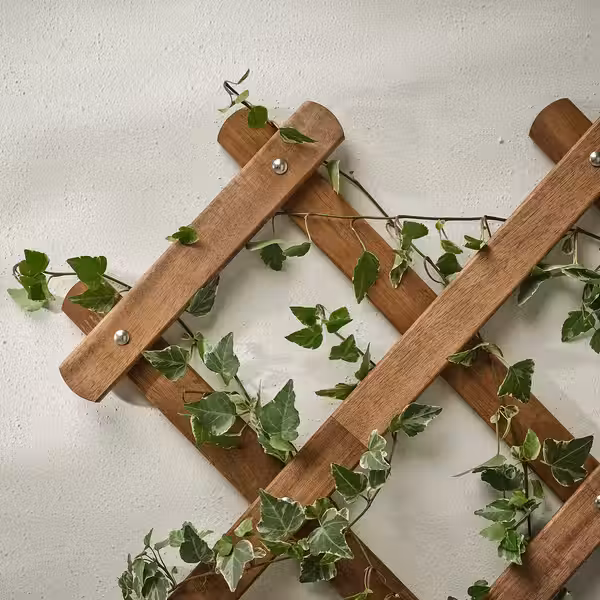 ASKHOLMEN Шпалера - темно-коричневый - фото 2