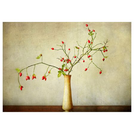 Картина, Шиповник 100x70 см IKEA PJÄTTERYD ПЬЕТТЕРИД 604.790.55