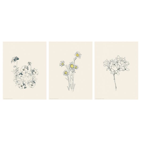 Постер, Цветы, 30x40 см IKEA БИЛЬД 904.321.70 - фото 1