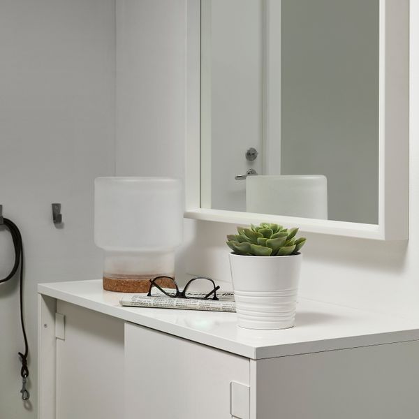 Искусственное растение в горшке, для дома, улицы Суккулент 9 см IKEA FEJKA ФЕЙКА 603.953.05 - фото 3