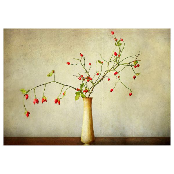 Картина, Шиповник 100x70 см IKEA PJÄTTERYD ПЬЕТТЕРИД 604.790.55 - схема-чертеж с размерами