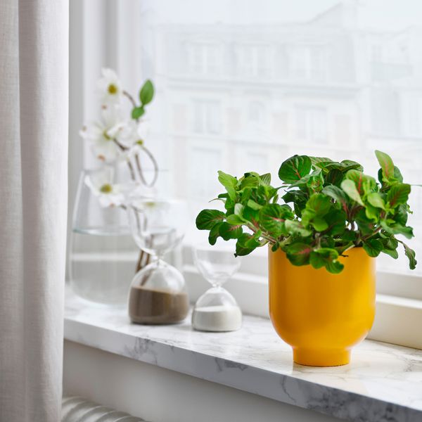 Кашпо, ярко-желтый, 9 см IKEA DRÖMSK ДРЁМСК 305.627.77 - фото 4