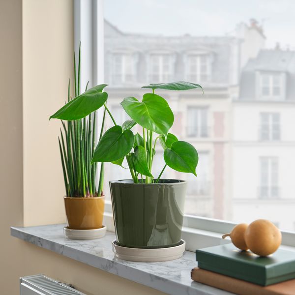 Горшок цветочный с поддоном IKEA KLOTLÖNN 305.982.67 - схема-чертеж с размерами