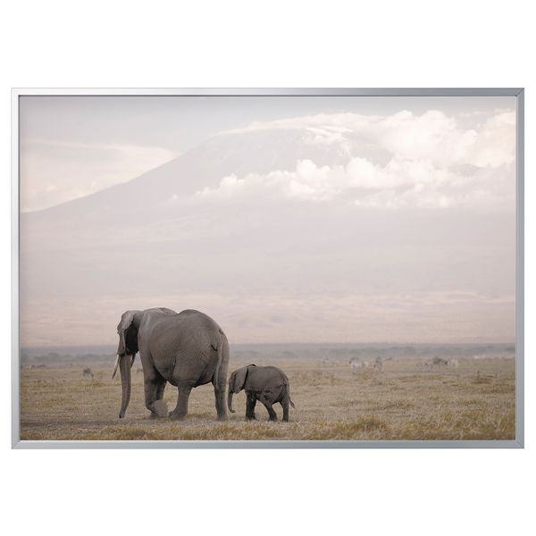 Картина с рамой, На прогулку, цвет алюминия, 200x140 см IKEA BJÖRKSTA БЬЁРКСТА 894.716.38 - фото 1