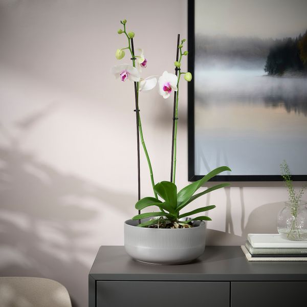 IKEA, дополнительный ракурс - схема-чертеж с размерами