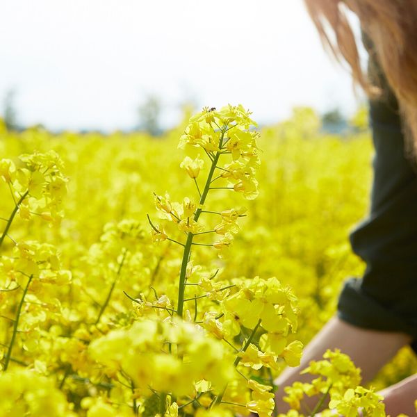 Ароматическая свеча в стакане, лесная земляника/темно-розовый 8 см IKEA VÄLDOFT ВЭЛЬДОФТ 204.423.04 - фото 3