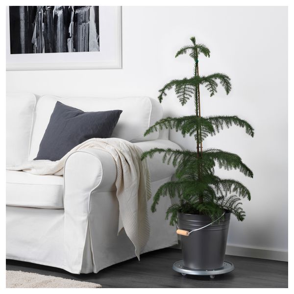 Ведро/горшок СОККЕР, д/дома/улицы, черный (10 л) - фото 3