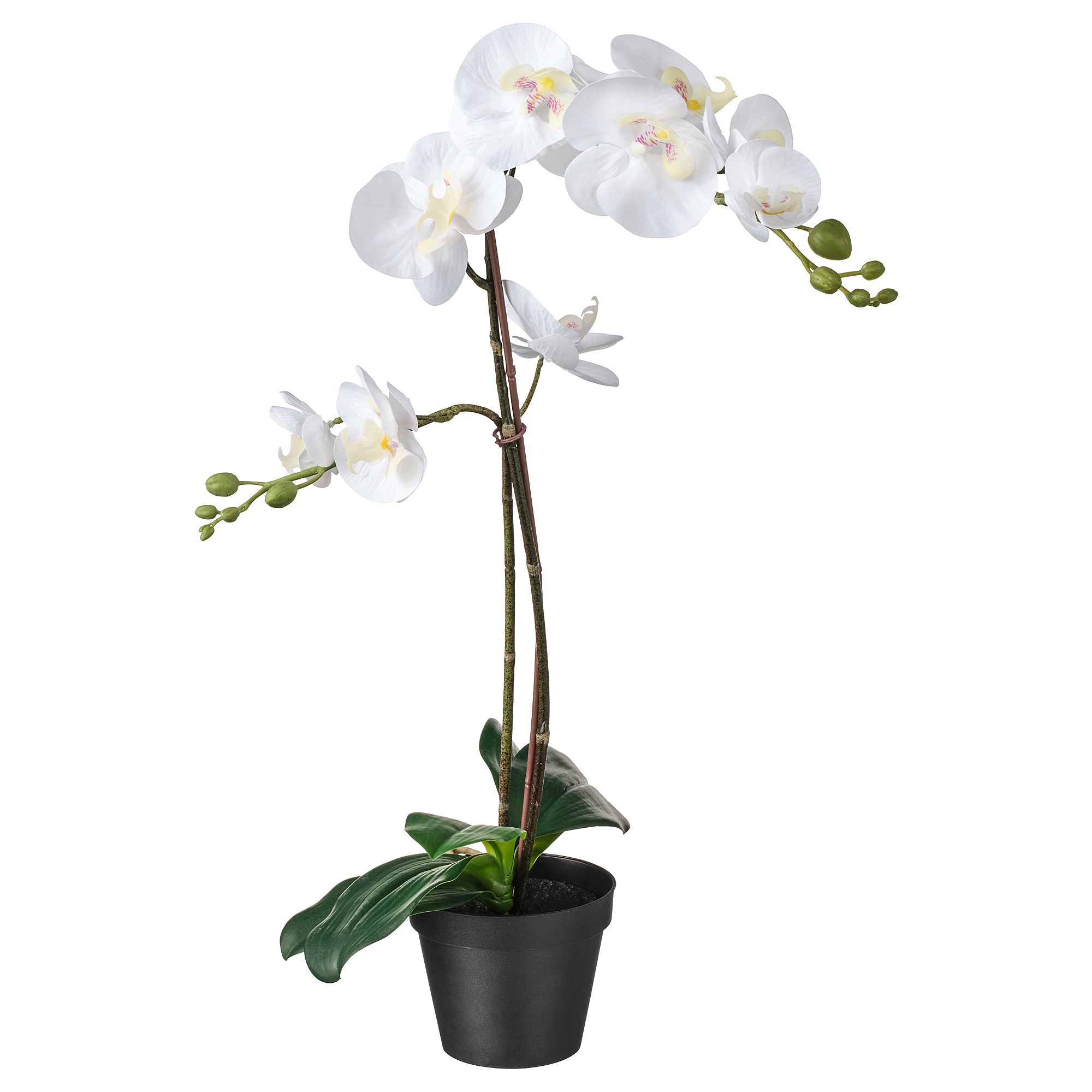 Орхидея в горшке купить в интернет. Искусственный цветок икеа Fejka. Фаленопсис сингл. Орхидея enjoy Orchids.